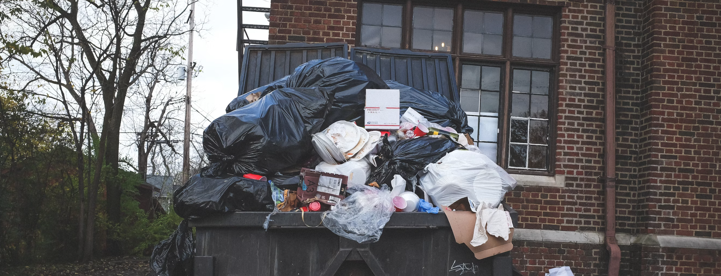 junk removal service